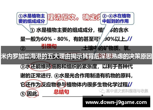 米内罗加盟海港的五大理由揭示其背后深思熟虑的决策原因