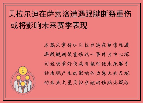 贝拉尔迪在萨索洛遭遇跟腱断裂重伤 或将影响未来赛季表现